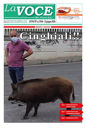 La Voce del Municipio